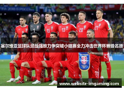 塞尔维亚足球队迎战强敌力争突破小组赛全力冲击世界杯晋级名额
