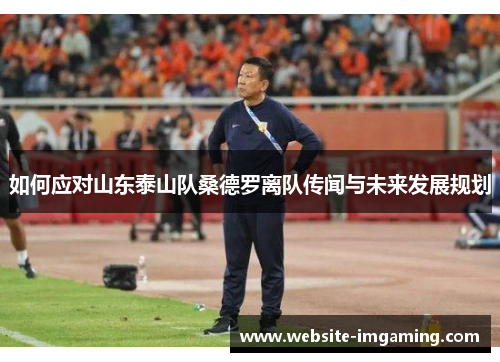 如何应对山东泰山队桑德罗离队传闻与未来发展规划