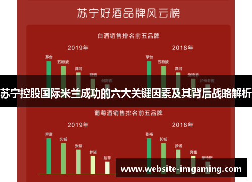 苏宁控股国际米兰成功的六大关键因素及其背后战略解析
