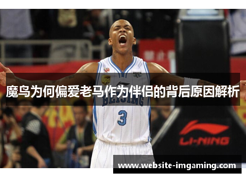 魔鸟为何偏爱老马作为伴侣的背后原因解析