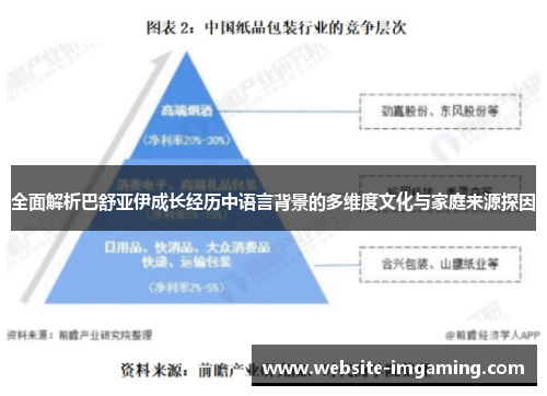 全面解析巴舒亚伊成长经历中语言背景的多维度文化与家庭来源探因