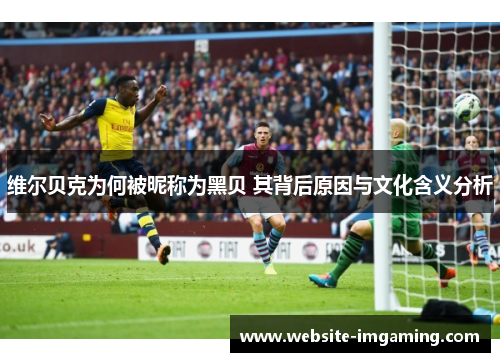 维尔贝克为何被昵称为黑贝 其背后原因与文化含义分析